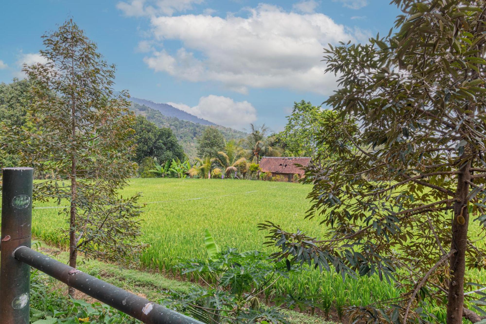 Mandhasativa Homestay Singaraja  Exterior photo