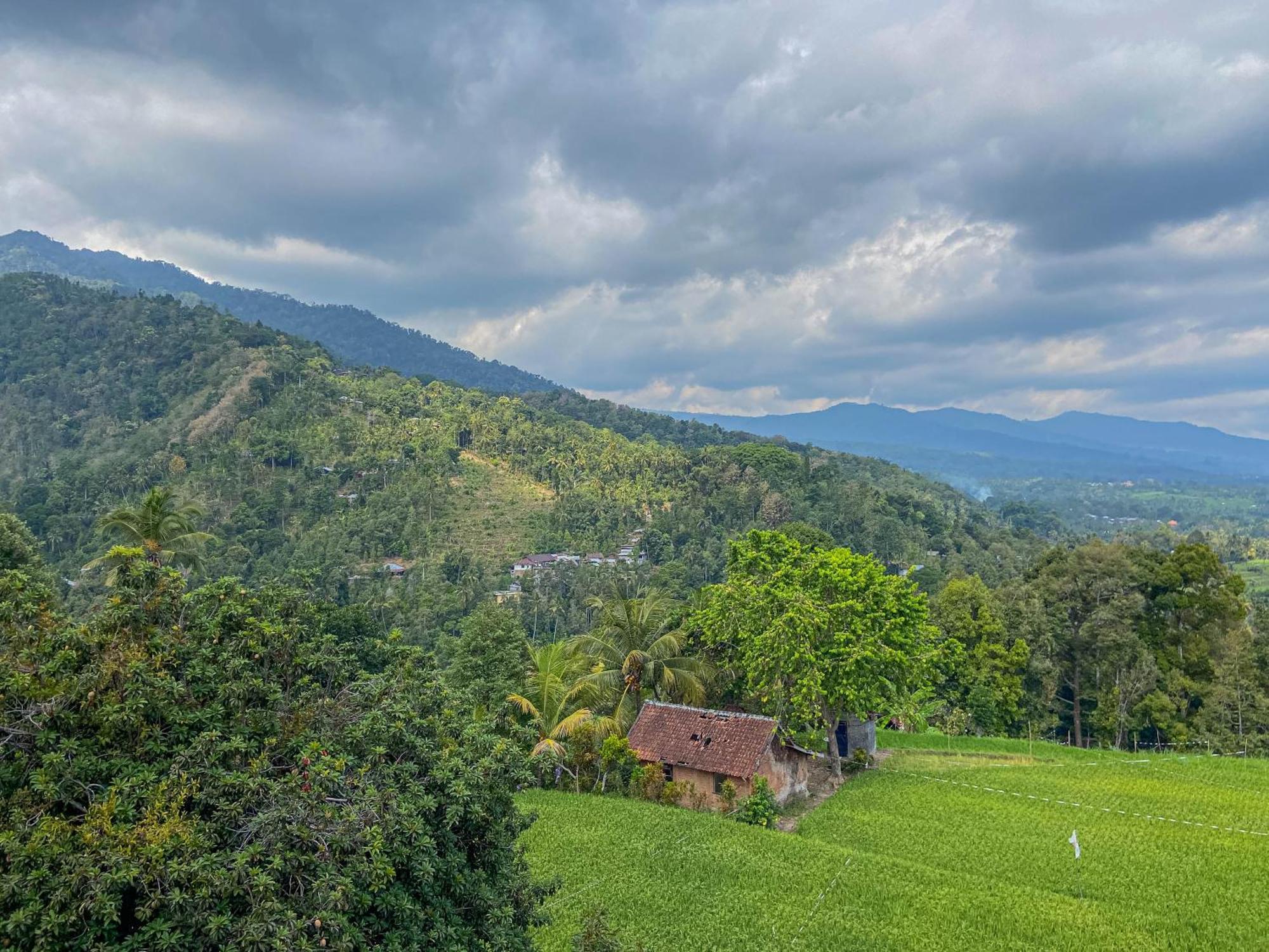 Mandhasativa Homestay Singaraja  Exterior photo